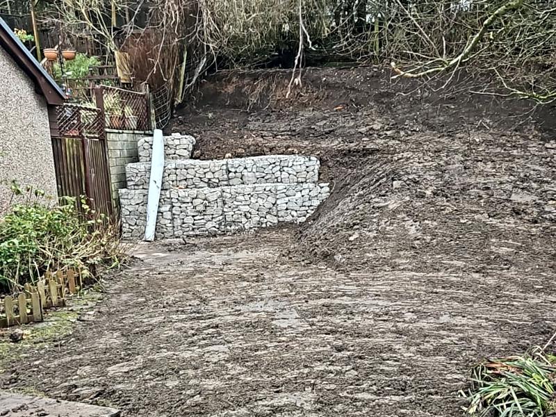 Local Builder, Flintshire